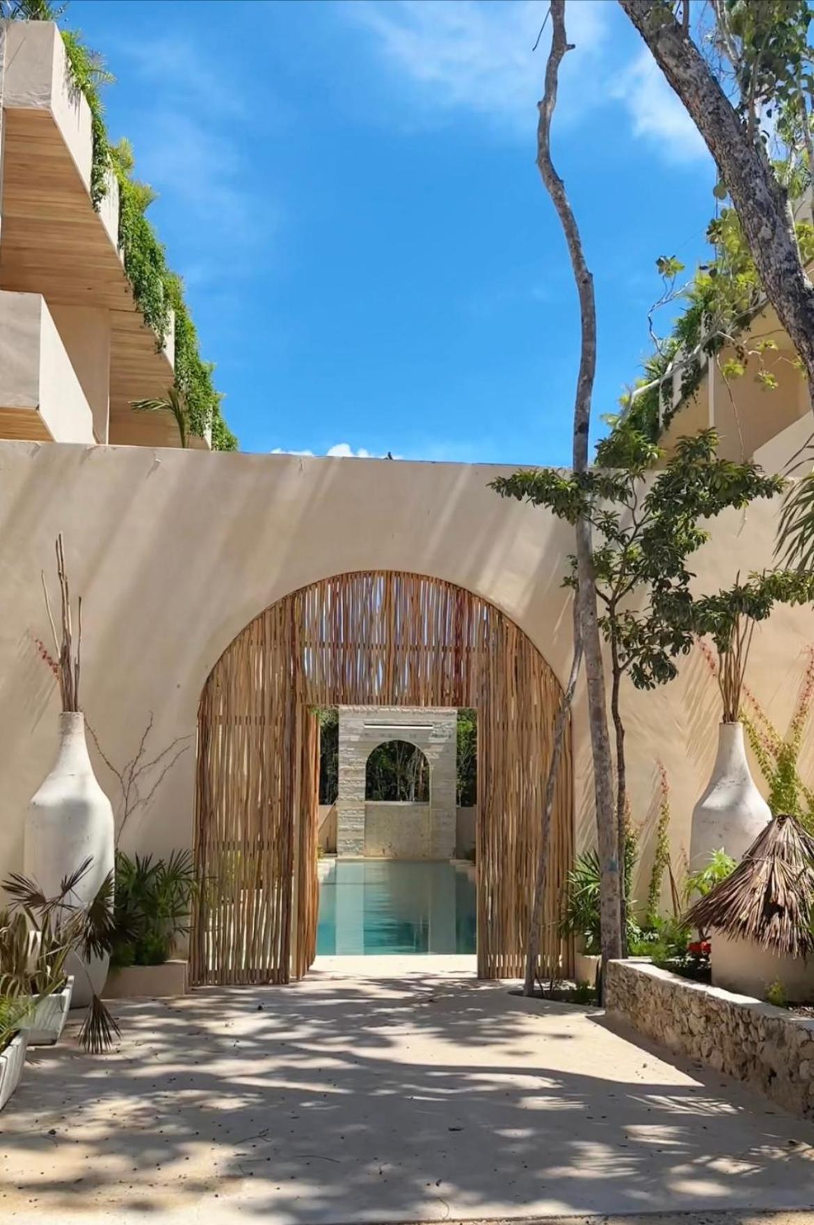 Cocay Welcome To The Jungle Aparthotel